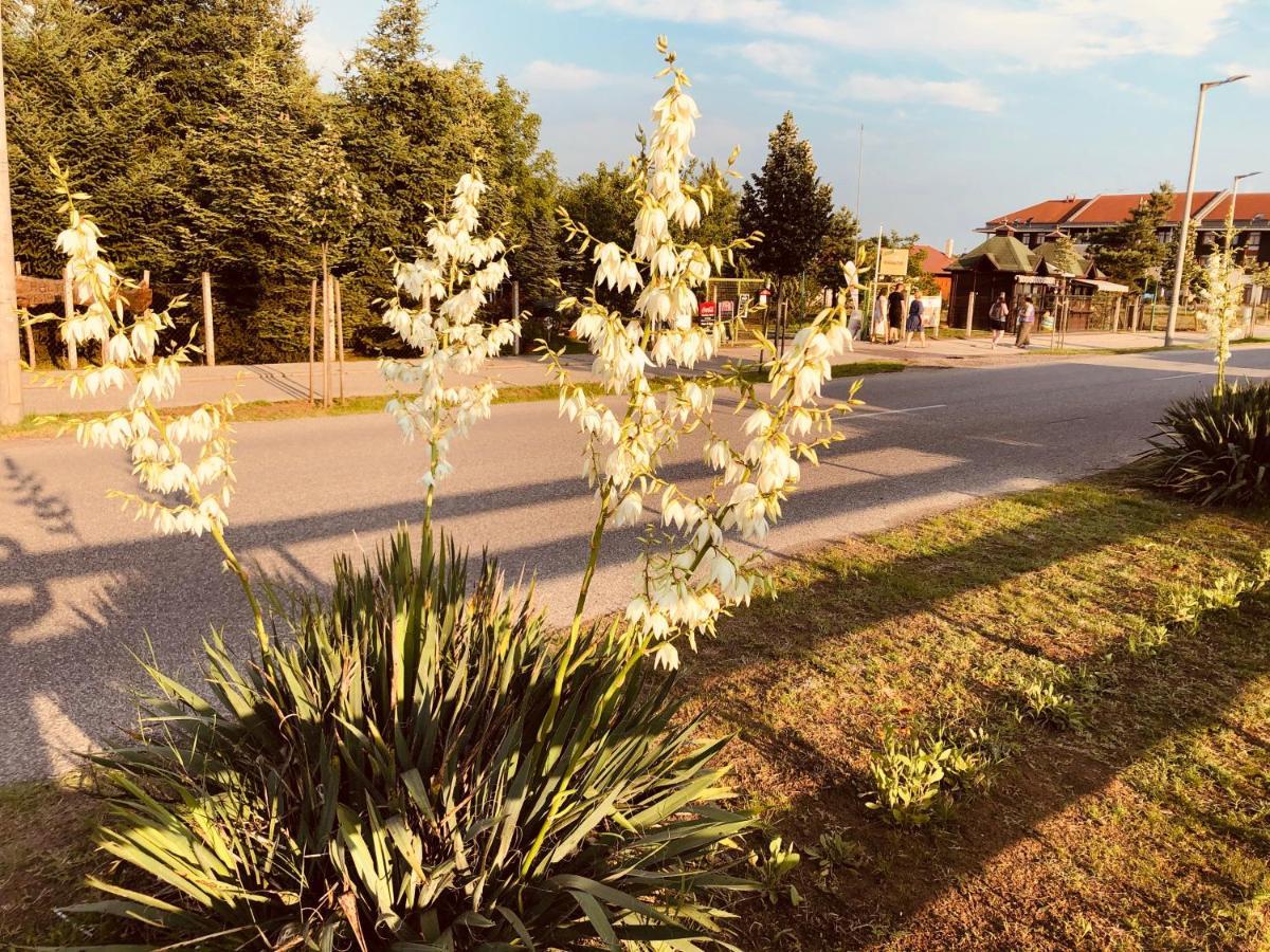 Club Thermal Village Cegléd Εξωτερικό φωτογραφία